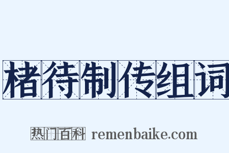 楮待制传组词是什么意思的图片